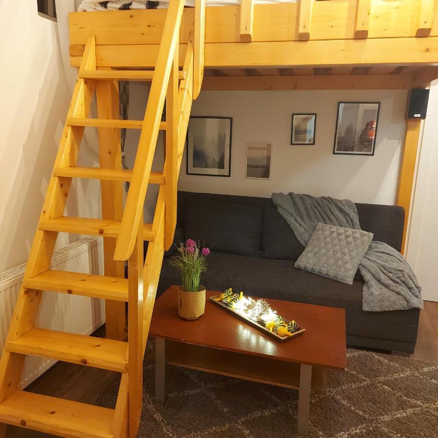 Garden Apartment Satu Mare Exterior photo