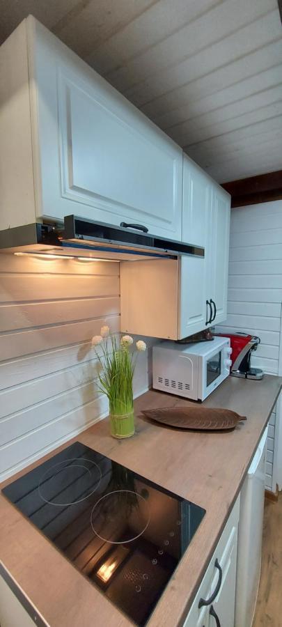 Garden Apartment Satu Mare Exterior photo
