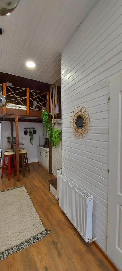 Garden Apartment Satu Mare Exterior photo